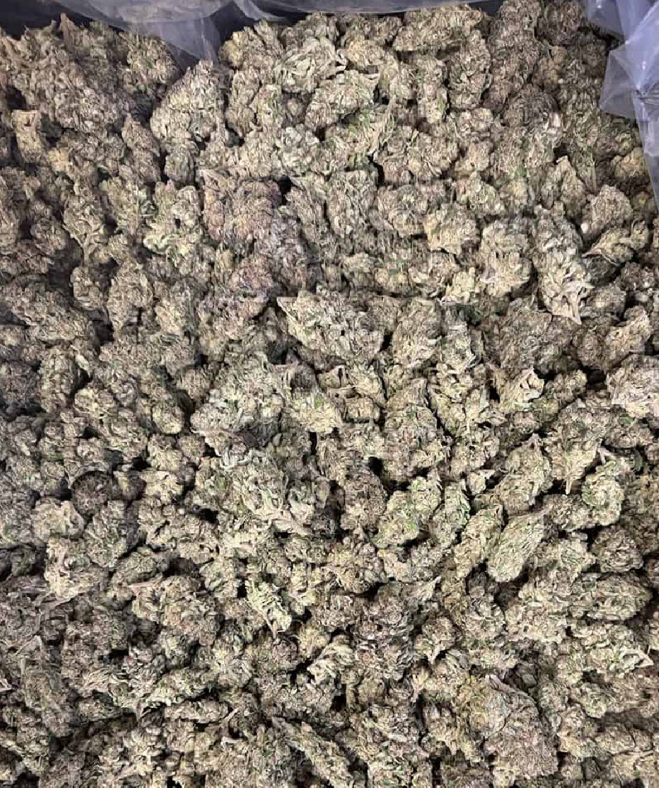 Gelato punch 27.8% 1oz