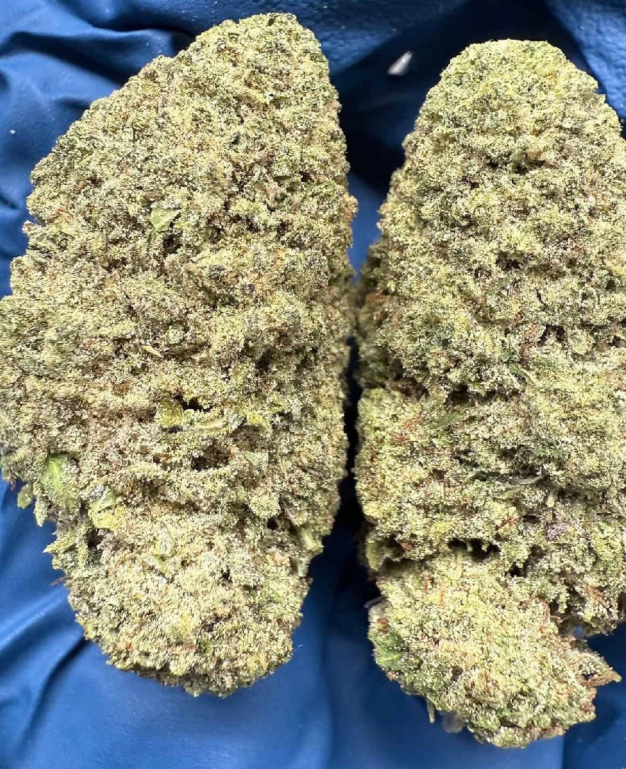 Papaya Punch 26.85% 1/8oz (3.5 grams)