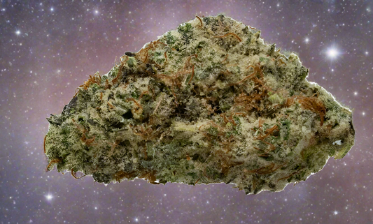 Gelato punch 27.8% 1oz
