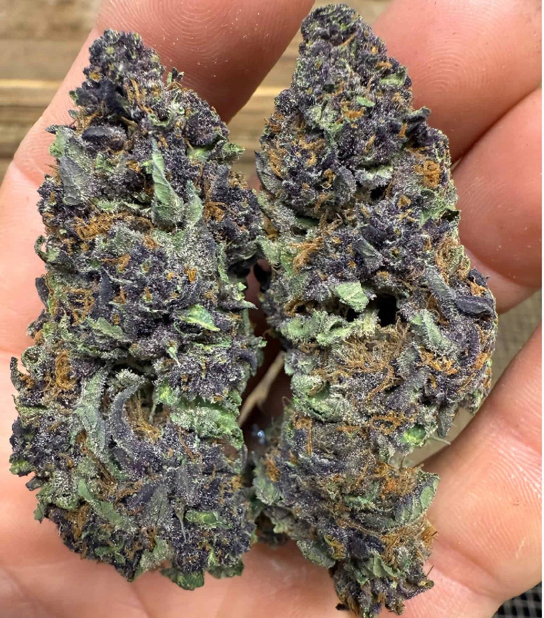 Gorilla Skunk 1oz 25.99%