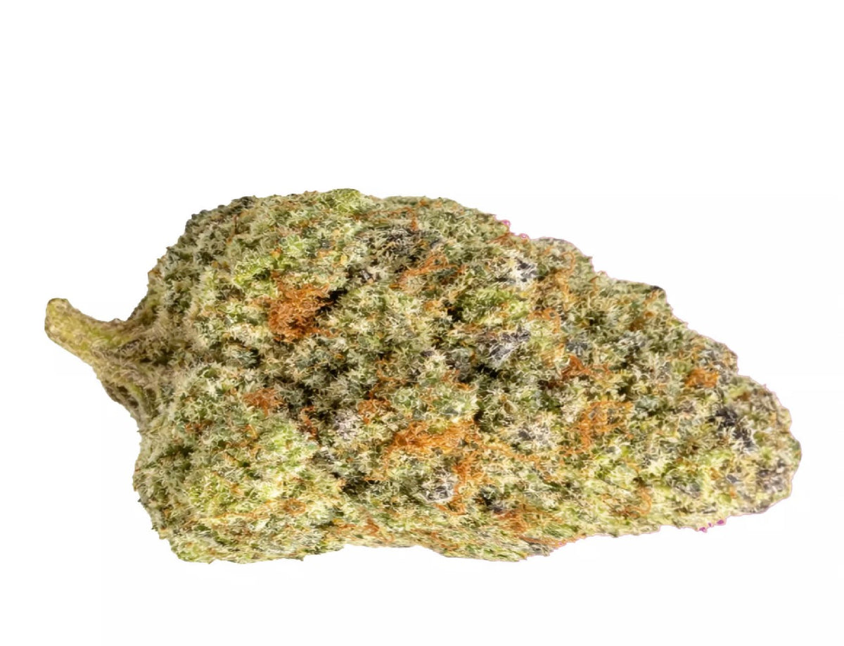 Northern Lights 1 oz (28grams) 25.27%