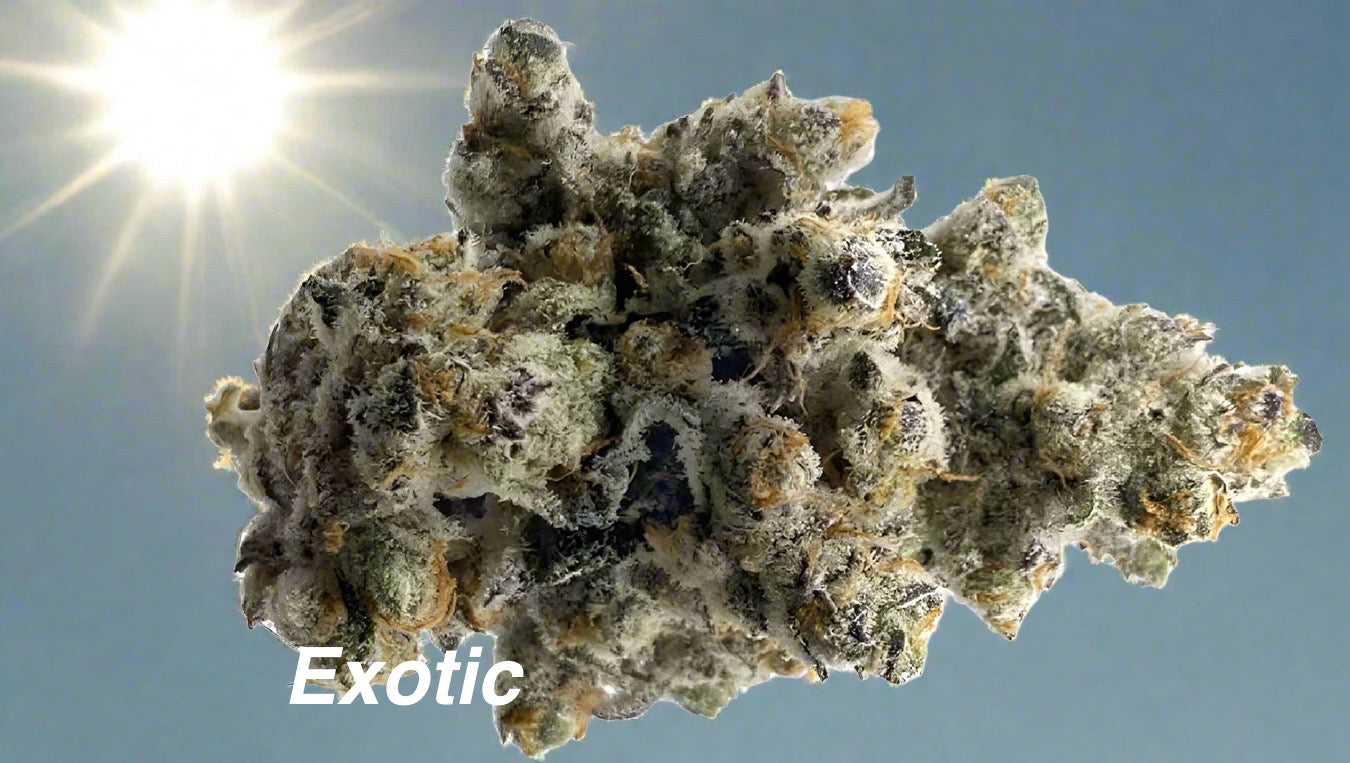 Chimera   Exotic 1oz 31.00%