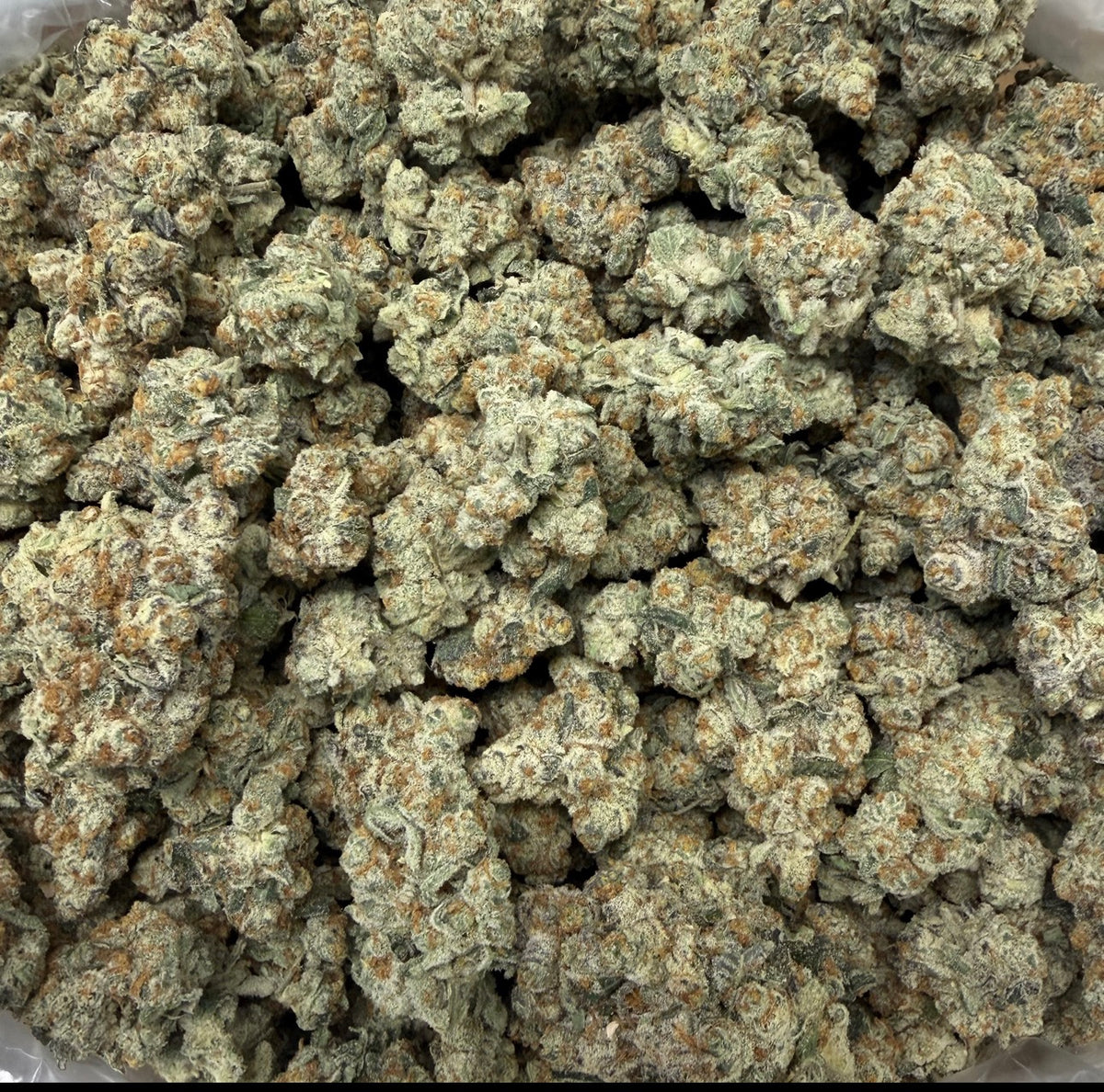 Northern Lights 1 oz (28grams) 25.27%