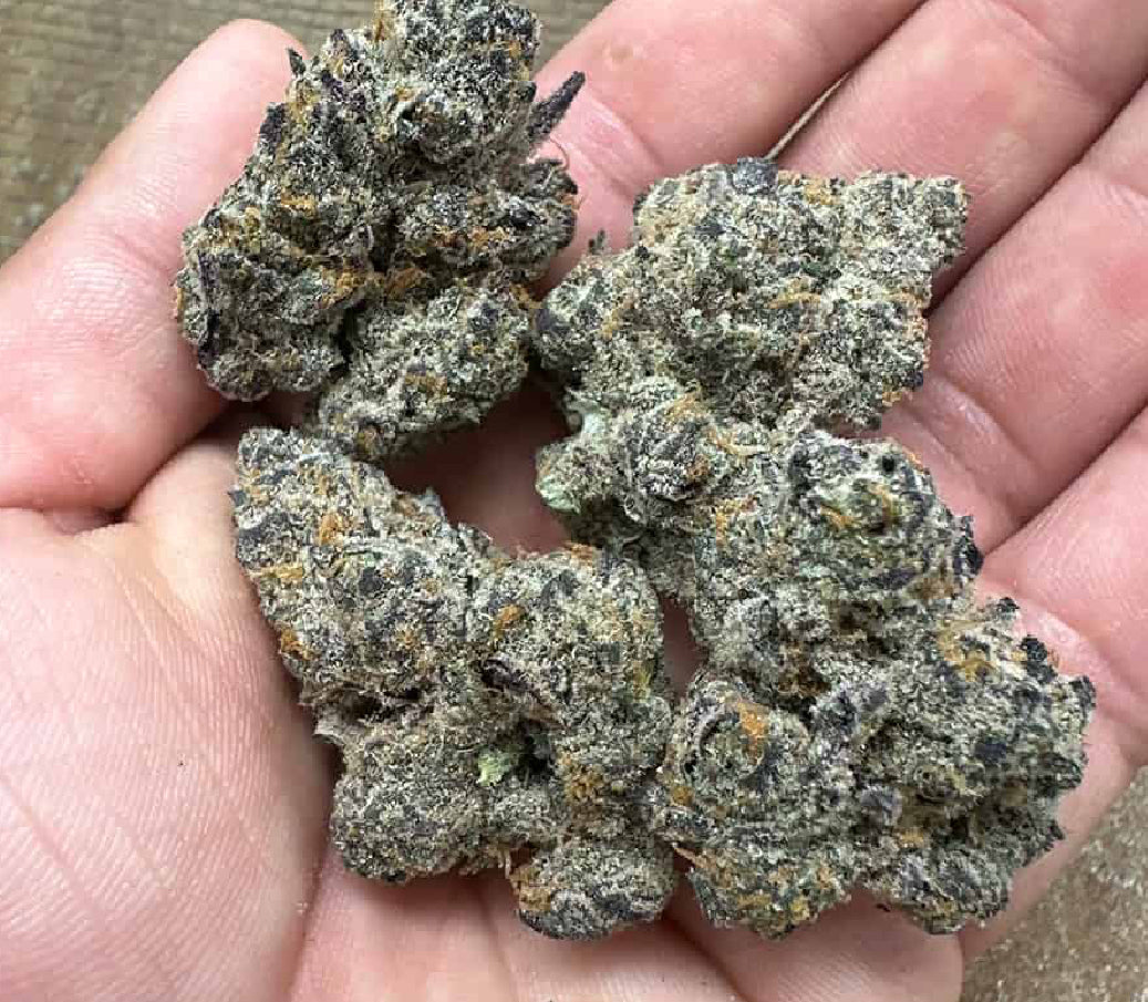 Chimera   Exotic 1oz 31.00%