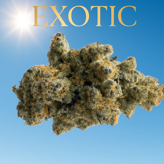 Chimera   Exotic 1oz 31.00%