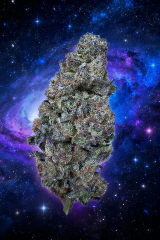 Purple Punch  27.8% 1oz